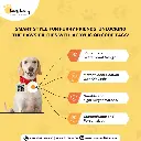 61lroAFxyeL._SL1080_.webp