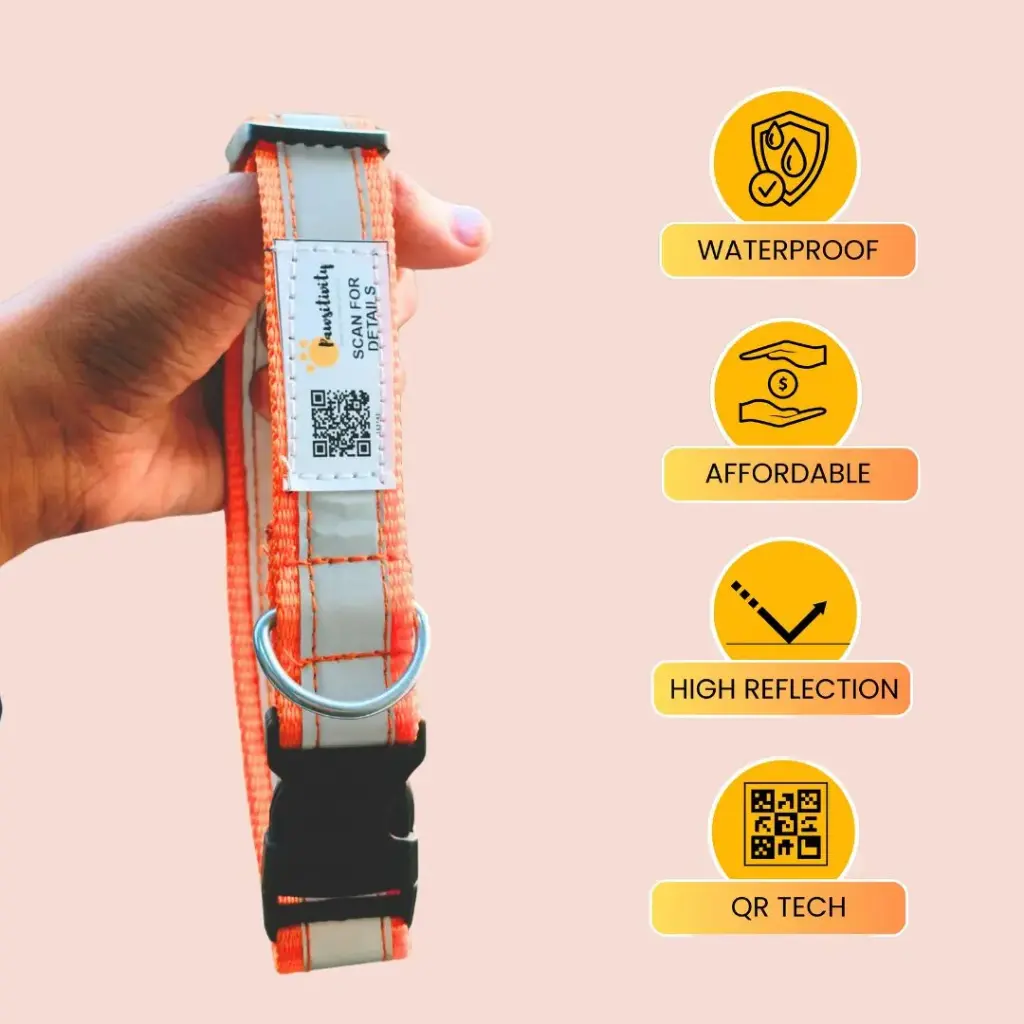Advanced Premium QR Enabled Reflective Collar Pack of 5pcs