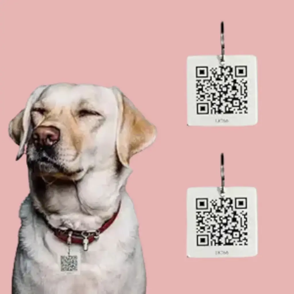 Pawsitivity Dog Tag ID with Smart Unique QR Code