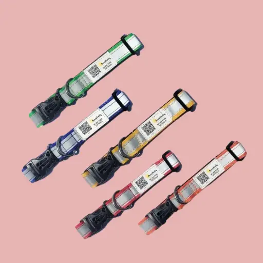 QR Enabled Reflective Collar Pawelite Version pack of 5 Pcs