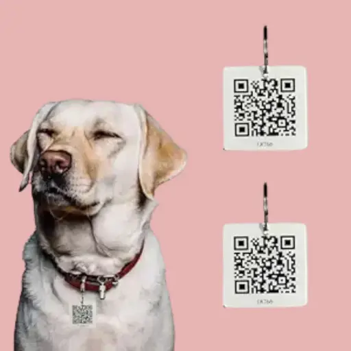 [DT001] Pawsitivity Dog Tag ID with Smart Unique QR Code