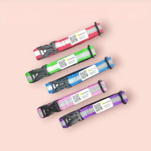 [PRCPL001] QR Enabled Reflective collar Pawlite Version Pack of 5 
