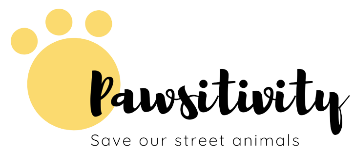 pawsitivity